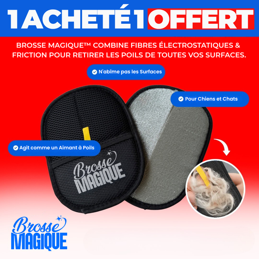 Brosse Magique™ - 1 Acheté = 1 Offert